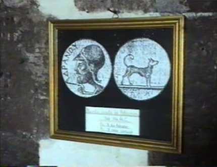 Fig. n.10 pannello esposto nel museo di Adrano, con il disegno della moneta con il cane cirneco